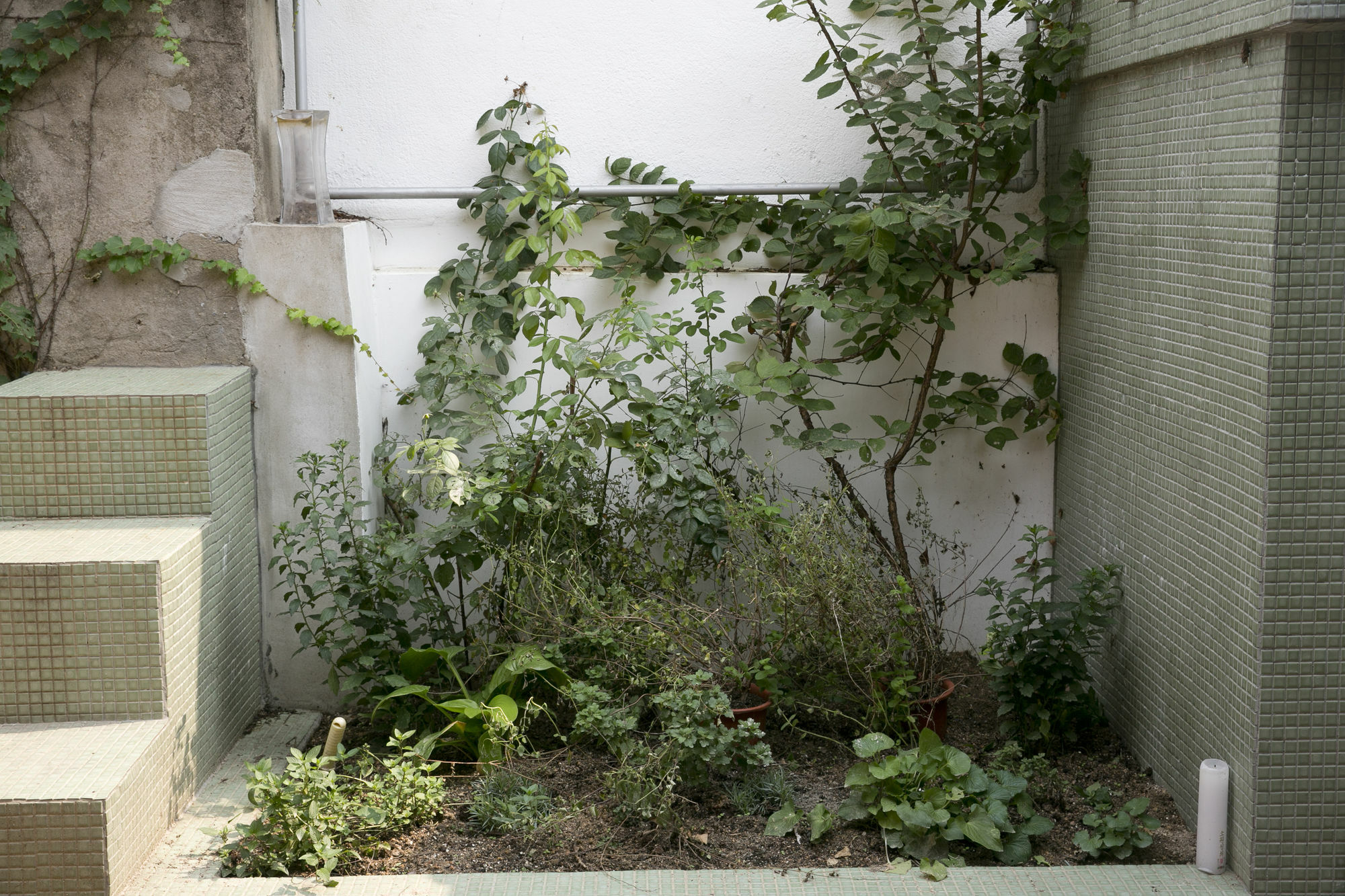 Nuri Hanok Guesthouse 首爾 外观 照片