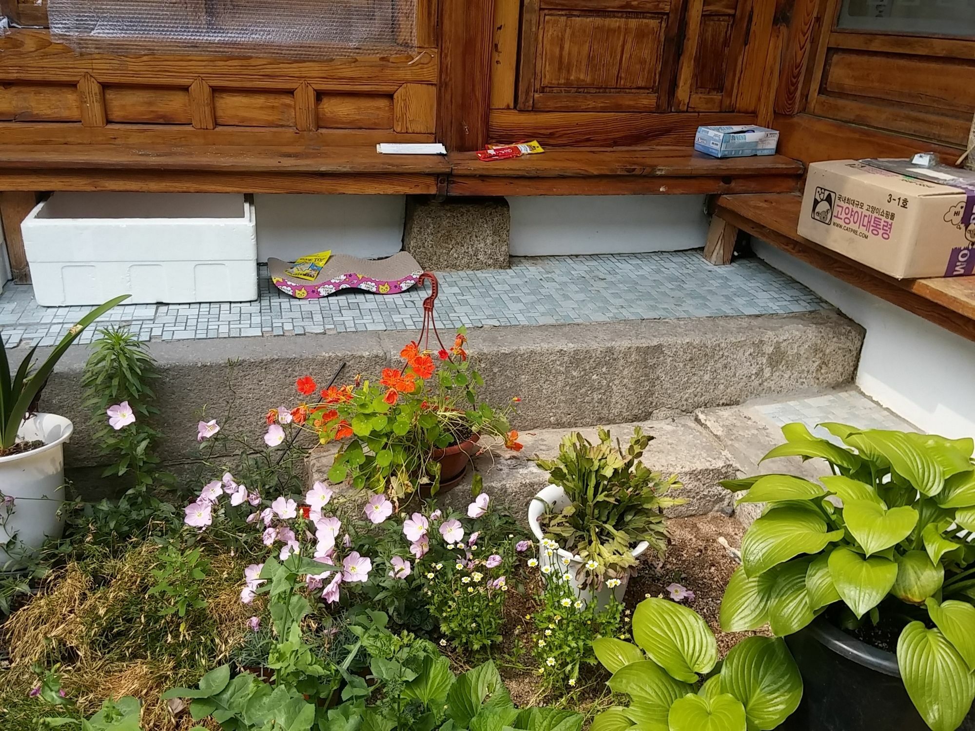 Nuri Hanok Guesthouse 首爾 外观 照片